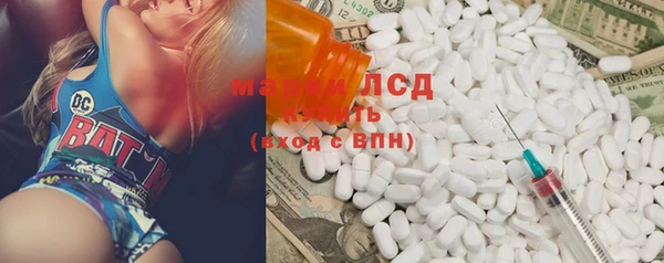 тгк Новозыбков