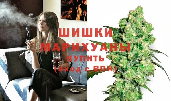 тгк Новозыбков