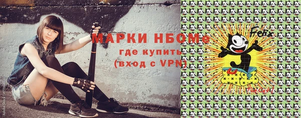 амф Новодвинск