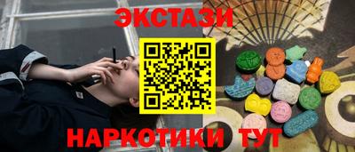 стаф Кунгур