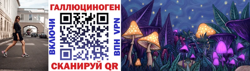 Галлюциногенные грибы Cubensis  закладки  Сургут 