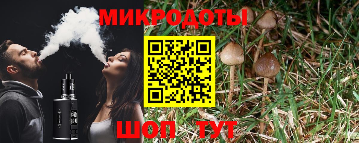 Псилоцибиновые грибы Psilocybine cubensis  Псилоцибиновые грибы GOLDEN TEACHER  Вход с VPN  Сургут 