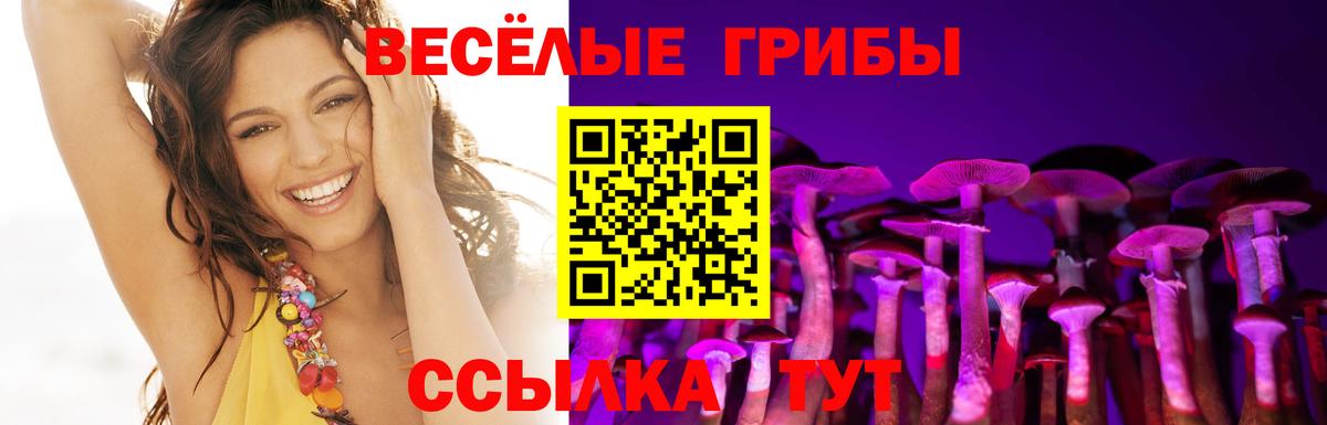 Псилоцибиновые грибы GOLDEN TEACHER Сургут